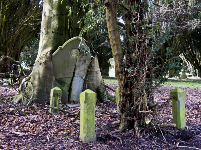 Hastings Cemetery, Elizabeth Hall Grave Compelling Photography